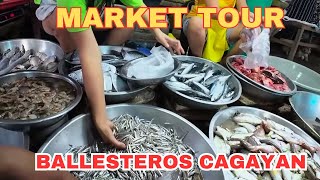 December 2023  UPDATE   Ballesteros Cagayan Market Scenario [upl. by Anitsahs]