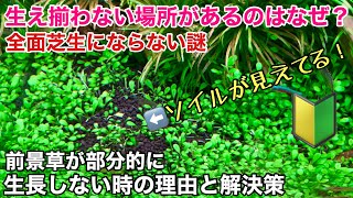 水草水槽で部分的に水草の調子が時の原因と解決策〜ADAネイチャーアクアリウム初心者、初めての立ち上げ植栽・植え方、熱帯魚、コケ対策、草原レイアウト・前景草のトリミング、planted aquarium [upl. by Garett46]