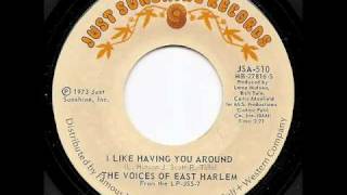 VOICES OF EAST HARLEM  I Like Having You Around [upl. by Magel]