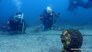 ドラえもんのいる海 キアンコウに会えた 伊勢崎から近い海 群馬県伊勢崎市のダイビングショップ、スクール [upl. by Dimond]