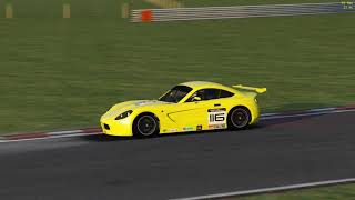 Assetto Corsa  Ginetta G40 GT5  Snetterton [upl. by Geno]