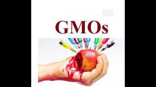 Genetic Modified Organism  GMOs  2024 [upl. by Elizabet]