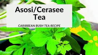 AsosiCerasee Tea Caribbean Bush Tea Recipe [upl. by Stringer724]