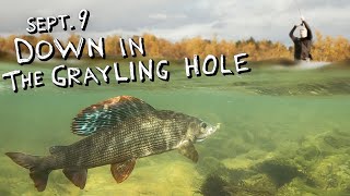 Rise of the Grayling King [upl. by Jehoash]