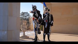 French 2nd Hussar Regiment 1805  Soldiers of History napoleonicwars austerlitz napoleon [upl. by Gloria]