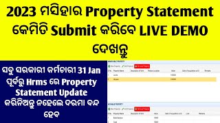 How To Update Property Statement In Hrms 2023Property Statement In Hrms Odisha Live DemoProperty [upl. by Aitas87]