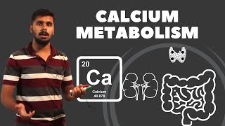 LOCOMOTOR MODULE Calcium MetabolismParathyroid Calcitonin Vit D Osteoclast Osteoblast [upl. by Akyre]