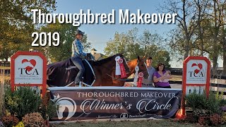 Thoroughbred makeover 2019 [upl. by Hailat668]