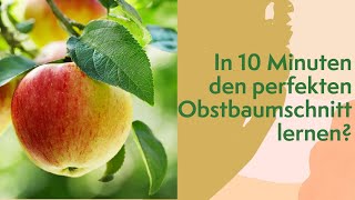 In 10 Minuten den perfekten Obstbaumschnitt lernen [upl. by Navonod]