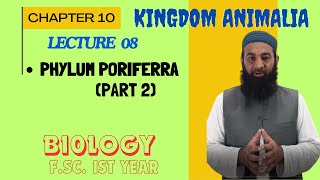 Porifera part 2 The Most Primitive Animals I Chapter 10 I FSc I First Year I biology I Lec 2 [upl. by Inavoig]