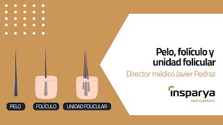 👨‍🦰 Diferencias entre pelo folículo y unidad folicular ¿Qué se necesita para un injerto capilar [upl. by Savart59]