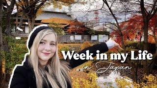 Week in my Life Japan 🇯🇵 Explore Morioka City with me [upl. by Ennaegroeg]