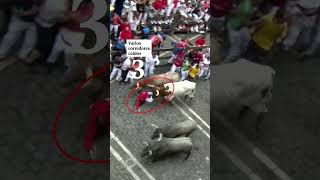 San Fermín 2024 mejores momentos del séptimo encierro [upl. by Lrigybab280]