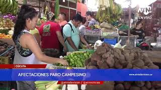 Vendedores afirman que el PARO CAMPESINO ha encarecido los productos de la canasta familiar [upl. by Nnaynaffit614]