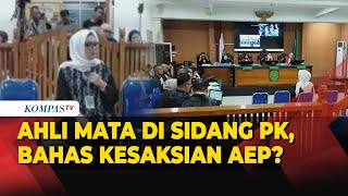 FULL Ahli Mata Jelaskan Soal Batas Penglihatan Manusia di Sidang PK Terpidana Vina [upl. by Oicnedif]