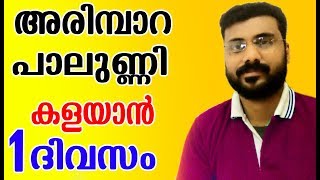 അരിമ്പാറ  പാലുണ്ണി 1 ദിവസം കൊണ്ട് മാറ്റം How To Get Rid Of Warts NEW [upl. by Elconin]