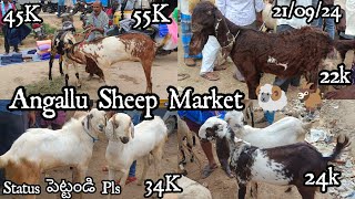 Angallu Sheep Market 🐏 every Saturday 🐏🐐 [upl. by Sreip900]