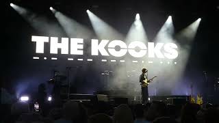 The Kooks  Seaside  Summerdays Festival Arbon  30082024  LIVE [upl. by Consalve]