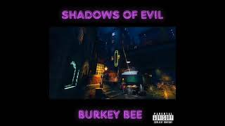 SHADOWS OF EVIL Prod STEROIDS [upl. by Sinnel429]