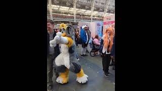 Tobey poses for photos at London Film amp Comic Con fursuit furry [upl. by Farlie569]