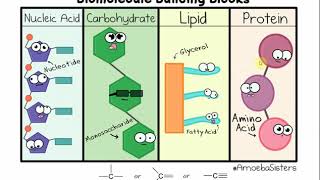 2113 Chapter 2  Chemistry Part B [upl. by Ajnotal]