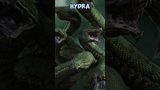 Hydra Ular berkepala sembilan dalam mitologi yunanihydra ular sejarahdunia [upl. by Ashely861]