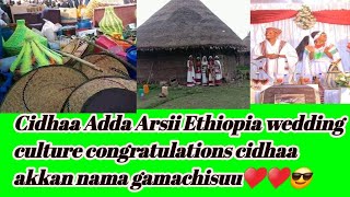 arsii culture wedding best Cidhaa Adda Arsii Ethiopia wedding cidhaa akkan nama gamachisuu♥️♥️😎 [upl. by Disini768]