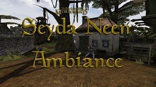 Morrowind Seyda Neen Ambiance [upl. by Baram]