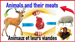 7 animaux et leurs viandes en anglais [upl. by Groome828]