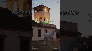 🔴 Caballos PRE 2024 🔴 Pura Raza Español caballos DeCaballos horse [upl. by Aidin]