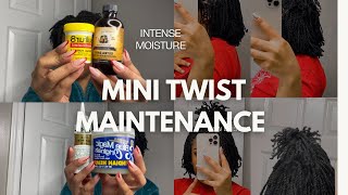 HOW TO MOISTURIZE MINI TWISTS ON NATURAL HAIR [upl. by Lionel]