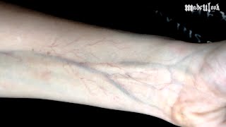 Vein Makeup Tutorial  Special FX Series [upl. by Nnewg]