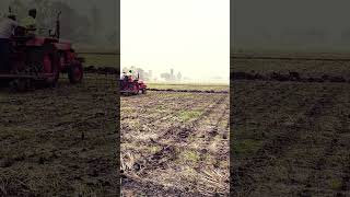 Zero tillage cultivation technology in corn farming shorts telugutrending farming [upl. by Betteann]