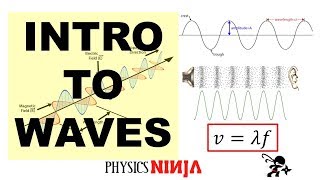 Introduction to Waves [upl. by Loresz]