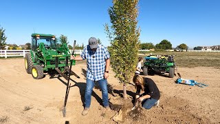 Planting The First Trees On The New Property  2024 Lilacs 🌳💜🙌  Garden Answer [upl. by Janela]