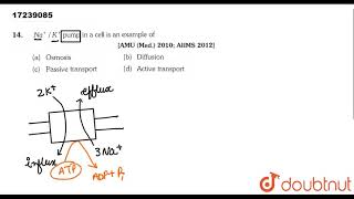 NaK pump in a cell is an example of [upl. by Grefer397]