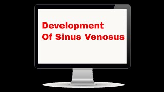 Development of Sinus [upl. by Dafna]