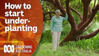 How to start underplanting in your garden  Garden Design and Inspiration  Gardening Australia [upl. by Ottinger]