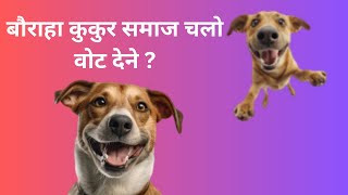 Kukur Samaj Jindabad Funny Cartoon Video [upl. by Perce]