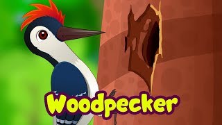 The Woodpecker Song  Bird Rhymes for Children  Infobells [upl. by Elirpa]