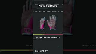 Skinport CS2 Skin 3D Viewer [upl. by Arayc782]