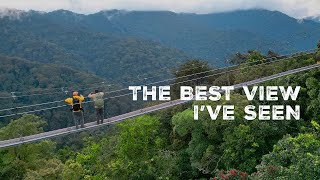 Hiking Through the Nyungwe National Park in Rwanda [upl. by Attener]