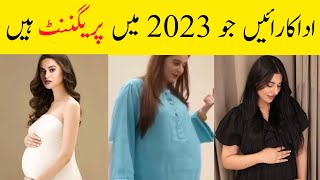 Pakistani actress who are pregnant this year [upl. by Dow]