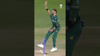 Matthew Wades innings of a lifetime against Pakistan in 2021 😲 CricketShorts YTShorts [upl. by Renault]