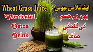 Wheat grass juice a wonderfull detox drink [upl. by Alegnad]