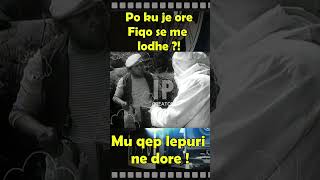 Perseri pranvere Lepuri batuta shqip viralvideo fypシ゚viral shorts fyp [upl. by Eugenle]