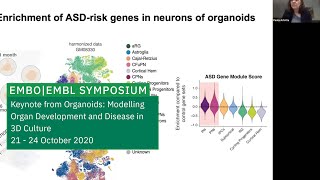 Keynote Lecture Understanding Human Brain Development and Disease From Embryos To Organoids [upl. by Ytsud]