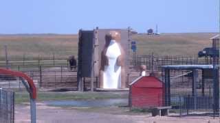 thelopecom  Prairie Dog Town  rattle snake moulting and Worlds Largest Prairie Dog [upl. by Sugirdor714]