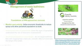 Managing Liriomyza Leafminers in Production Nurseries [upl. by Naret920]