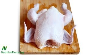 Phosphate Additives in Chicken [upl. by Hanavas]